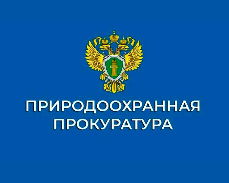 Установлены Правила разработки и утверждения плана противопожарного обустройства лесов на территории лесничества, а также правила разработки плана противопожарного обустройства лесов на территории субъекта Российской Федерации..